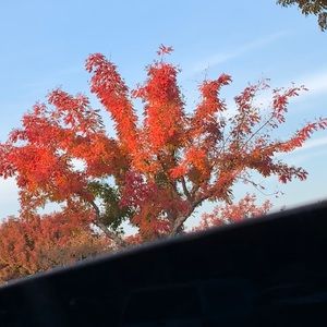 Meet your Posher, Dulce